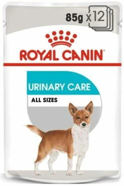 ROYAL CANIN CCN Urinary Care Patè 12x85g -BRIT in Italia ita pl ROYAL CANIN CCN Urinary Care pate 12x85g 9106 2