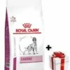 ROYAL CANIN Cardiac 14kg+Sorpresa Per Il Tuo Cane 1 ROYAL CANIN Cardiac 14kg+Sorpresa Per Il Tuo Cane -BRIT in Italia ita pl ROYAL CANIN Cardiac 14kg Sorpresa per il tuo cane 19840 3