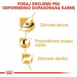 ROYAL CANIN Cavalier King Charles Spaniel Adult 1,5kg -BRIT in Italia ita pl ROYAL CANIN Cavalier King Charles Spaniel Adult 1 5kg 8173 4