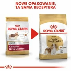 ROYAL CANIN Cavalier King Charles Spaniel Adult 1,5kg -BRIT in Italia ita pl ROYAL CANIN Cavalier King Charles Spaniel Adult 1 5kg 8173 7