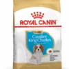 ROYAL CANIN Cavalier King Charles Spaniel Puppy 1,5kg -BRIT in Italia ita pl ROYAL CANIN Cavalier King Charles Spaniel Puppy 1 5kg 8207 1