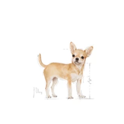 ROYAL CANIN Chihuahua Adulto 1,5kg -BRIT in Italia ita pl ROYAL CANIN Chihuahua Adulto 1 5kg 15073 3