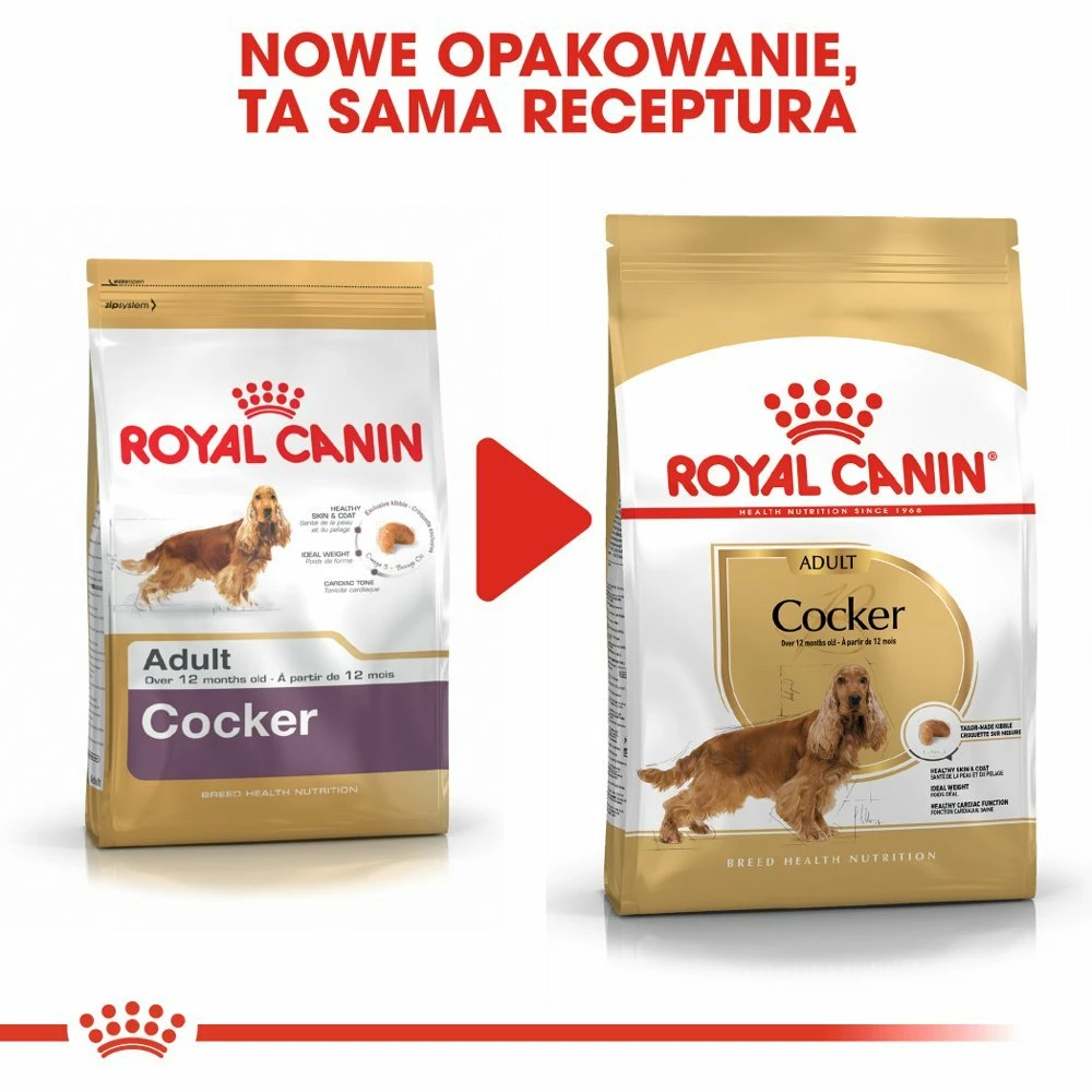 ROYAL CANIN Cocker Spaniel Adulto 12kg + Sorpresa Per Il Cane GRATIS 10 ROYAL CANIN Cocker Spaniel Adulto 12kg + Sorpresa Per Il Cane GRATIS - immagine 8