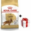ROYAL CANIN Cocker Spaniel Adulto 12kg + Sorpresa Per Il Cane GRATIS