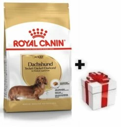 ROYAL CANIN Dachshund Adult 7,5kg + Sorpresa Per Il Cane GRATIS