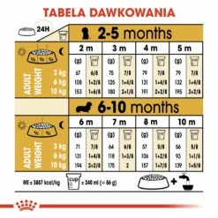 ROYAL CANIN Dachshund Puppy 1,5kg -BRIT in Italia ita pl ROYAL CANIN Dachshund Puppy 1 5kg 14437 5