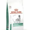 ROYAL CANIN Diabetic 1,5kg -BRIT in Italia ita pl ROYAL CANIN Diabetic 1 5kg 14257 1