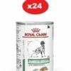 ROYAL CANIN Diabetic Special Low Carbohydrate 24x410g -BRIT in Italia ita pl ROYAL CANIN Diabetic Special Low Carbohydrate 24x410g 23697 3