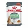 ROYAL CANIN Digest Sensitive 12x85g -BRIT in Italia ita pl ROYAL CANIN Digest Sensitive 12x85g 8132 4