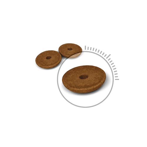 ROYAL CANIN Digestive Care 10kg X2 4 ROYAL CANIN Digestive Care 10kg X2 - immagine 2