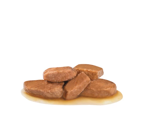 ROYAL CANIN Dog Early Renal 12x100g 4 ROYAL CANIN Dog Early Renal 12x100g - immagine 2