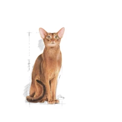 ROYAL CANIN Exigent Protein Preference 42 10kg -BRIT in Italia ita pl ROYAL CANIN Exigent Protein Preference 42 10kg 8206 3