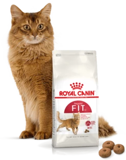 ROYAL CANIN Fit 32 10kg X2 11 ROYAL CANIN Fit 32 10kg X2 -BRIT in Italia ita pl ROYAL CANIN Fit 32 10kg x2 19911 4