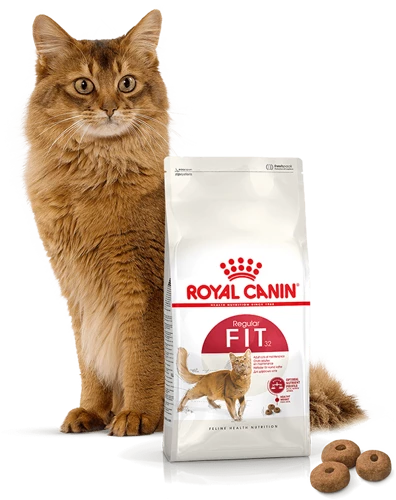 ROYAL CANIN Fit 32 10kg X2 6 ROYAL CANIN Fit 32 10kg X2 - immagine 4