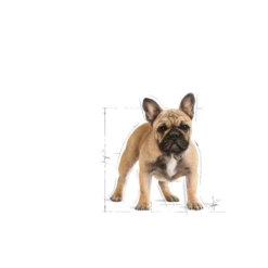 ROYAL CANIN French Bulldog Adult 9kg + Sorpresa Per Il Cane GRATIS -BRIT in Italia ita pl ROYAL CANIN French Bulldog Adult 9kg sorpresa per il cane GRATIS 24115 3