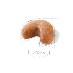 ROYAL CANIN French Bulldog Puppy 10kg -BRIT in Italia ita pl ROYAL CANIN French Bulldog Puppy 10kg 15084 3