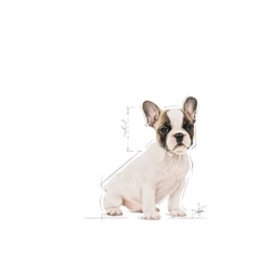 ROYAL CANIN French Bulldog Puppy 10kg X2 4 ROYAL CANIN French Bulldog Puppy 10kg X2 - immagine 2