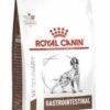 ROYAL CANIN Gastrointestinal Dog 7,5kg -BRIT in Italia ita pl ROYAL CANIN Gastrointestinal Dog 7 5kg 15105 1