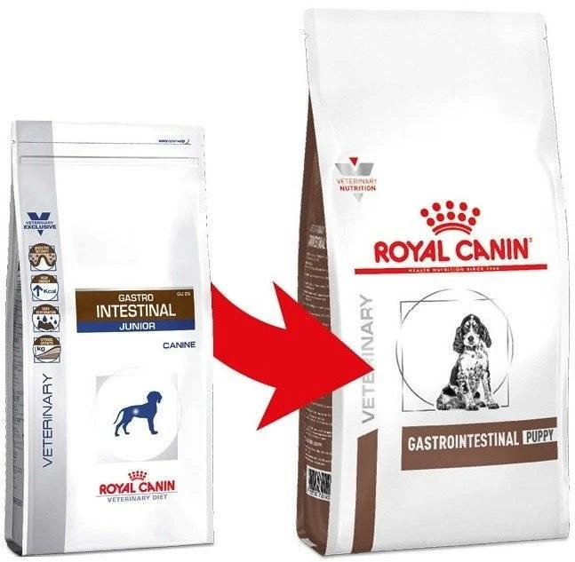 ROYAL CANIN Gastrointestinal Puppy 1kg 4 ROYAL CANIN Gastrointestinal Puppy 1kg - immagine 2