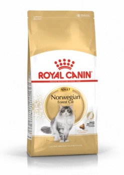 ROYAL CANIN Gatto Delle Foreste Norvegesi Adulto 10kg
