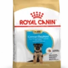 ROYAL CANIN German Shepherd Puppy 3kg 2 ROYAL CANIN German Shepherd Puppy 3kg -BRIT in Italia ita pl ROYAL CANIN German Shepherd Puppy 3kg 15113 1