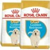 ROYAL CANIN Golden Retriever Puppy 12kg X2 1 ROYAL CANIN Golden Retriever Puppy 12kg X2 -BRIT in Italia ita pl ROYAL CANIN Golden Retriever Puppy 12kg x2 19948 4
