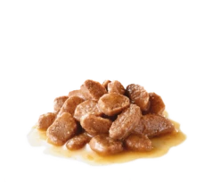 ROYAL CANIN Hairball Care 12x85g -BRIT in Italia ita pl ROYAL CANIN Hairball Care 12x85g 8122 2