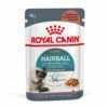ROYAL CANIN Hairball Care 12x85g -BRIT in Italia ita pl ROYAL CANIN Hairball Care 12x85g 8122 4