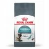 ROYAL CANIN Hairball Care 4kg -BRIT in Italia ita pl ROYAL CANIN Hairball Care 4kg 15143 1