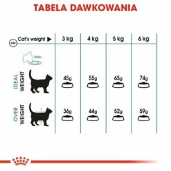ROYAL CANIN Hairball Care 4kg -BRIT in Italia ita pl ROYAL CANIN Hairball Care 4kg 15143 6