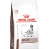 ROYAL CANIN Hepatic 6kg 1 ROYAL CANIN Hepatic 6kg -BRIT in Italia ita pl ROYAL CANIN Hepatic 6kg 8249 1 2