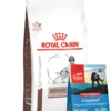 ROYAL CANIN Hepatic 6kg + ORIJEN Original Dog 340g GRATIS -BRIT in Italia ita pl ROYAL CANIN Hepatic 6kg ORIJEN Original Dog 340g GRATIS 24848 3