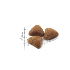 ROYAL CANIN Indoor 27 10kg -BRIT in Italia ita pl ROYAL CANIN Indoor 27 10kg 15136 3