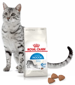 ROYAL CANIN Indoor 27 2kg -BRIT in Italia ita pl ROYAL CANIN Indoor 27 2kg 15137 4