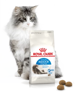 ROYAL CANIN Indoor Pelo Lungo 4kg -BRIT in Italia ita pl ROYAL CANIN Indoor pelo lungo 4kg 15955 4