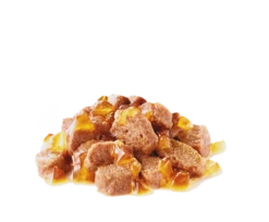 ROYAL CANIN Intense Beauty Gelee 12x85g -BRIT in Italia ita pl ROYAL CANIN Intense Beauty Gelee 12x85g 8124 2