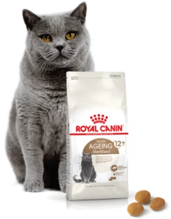 ROYAL CANIN Invecchiamento Sterilizzato +12 2kg -BRIT in Italia ita pl ROYAL CANIN Invecchiamento sterilizzato 12 2kg 16003 4