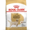 ROYAL CANIN Labrador Retriever Adulto 12kg 2 ROYAL CANIN Labrador Retriever Adulto 12kg -BRIT in Italia ita pl ROYAL CANIN Labrador Retriever Adulto 12kg 8286 1