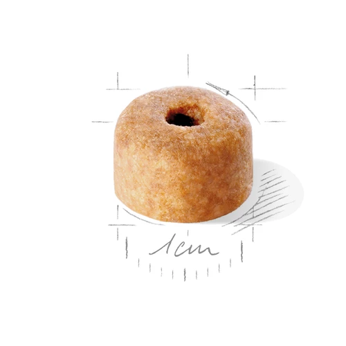 ROYAL CANIN Labrador Retriever Puppy 12kg 5 ROYAL CANIN Labrador Retriever Puppy 12kg - immagine 3