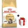 ROYAL CANIN Maine Coon Adulto 10kg + Überraschung Für Die Katze -BRIT in Italia ita pl ROYAL CANIN Maine Coon Adulto 10kg Uberraschung fur die Katze 24130 4