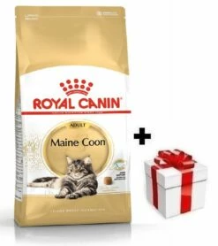 ROYAL CANIN Maine Coon Adulto 10kg + Überraschung Für Die Katze