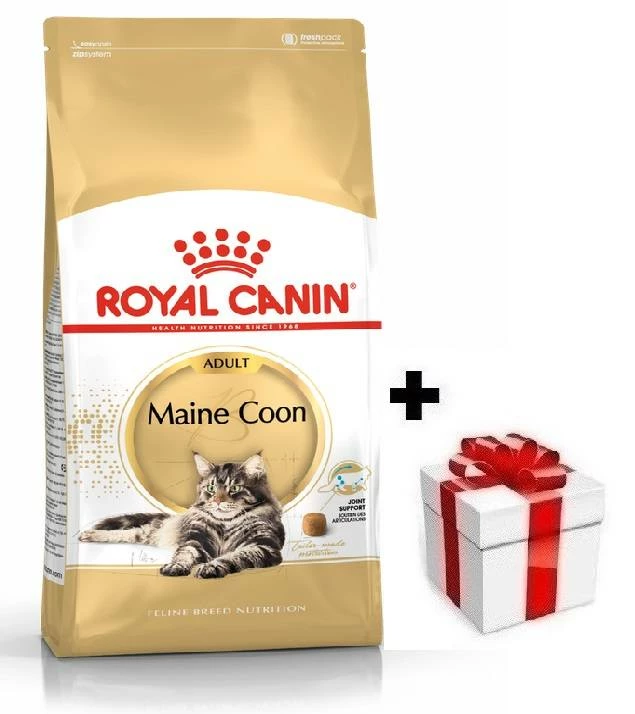 ROYAL CANIN Maine Coon Adulto 10kg + Überraschung Für Die Katze 3 ROYAL CANIN Maine Coon Adulto 10kg + Überraschung Für Die Katze
