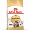 ROYAL CANIN Maine Coon Adulto 2kg -BRIT in Italia ita pl ROYAL CANIN Maine Coon Adulto 2kg 15175 1