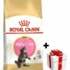 ROYAL CANIN Maine Coon Kitten 10kg + Sorpresa Per Il Gatto GRATIS -BRIT in Italia ita pl ROYAL CANIN Maine Coon Kitten 10kg sorpresa per il gatto GRATIS 24131 4