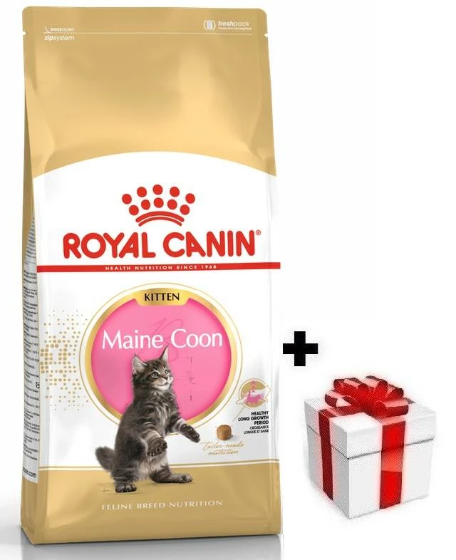 ROYAL CANIN Maine Coon Kitten 10kg + Sorpresa Per Il Gatto GRATIS 3 ROYAL CANIN Maine Coon Kitten 10kg + Sorpresa Per Il Gatto GRATIS