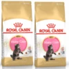 ROYAL CANIN Maine Coon Kitten 10kg X2 -BRIT in Italia ita pl ROYAL CANIN Maine Coon Kitten 10kg x2 19903 4