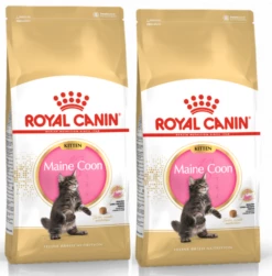 ROYAL CANIN Maine Coon Kitten 10kg X2