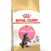 ROYAL CANIN Maine Coon Kitten 2kg -BRIT in Italia ita pl ROYAL CANIN Maine Coon Kitten 2kg 8640 1