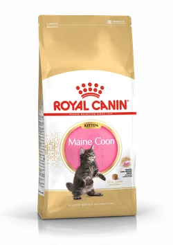 ROYAL CANIN Maine Coon Kitten 2kg 3 ROYAL CANIN Maine Coon Kitten 2kg