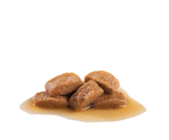 ROYAL CANIN Maxi Adulto 10x140g -BRIT in Italia ita pl ROYAL CANIN Maxi Adulto 10x140g 8850 3